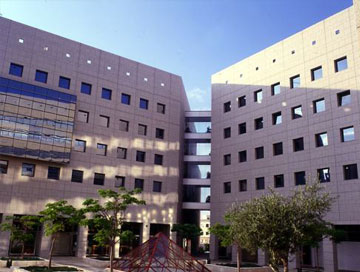 חלונות הסיטי שקמונה, חיפה